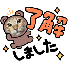 ami_20250218155010