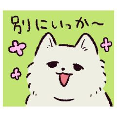 Samoyed!?