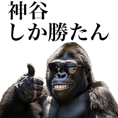 [Kamiya] Funny Gorilla stamp to send