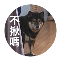 慕妮里長的日常