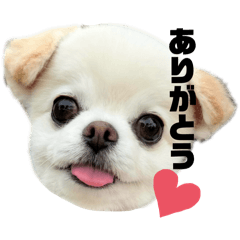 RIKO_20250218183712