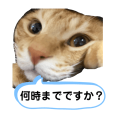 hana_20250218170931