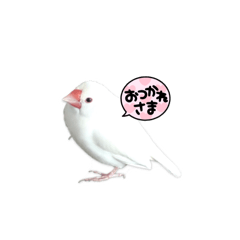 miruna_20250218173602