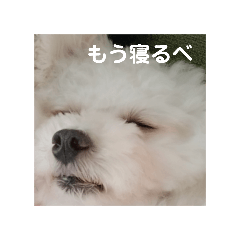 yamada_20250218181453