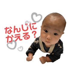 taro_20250218181143