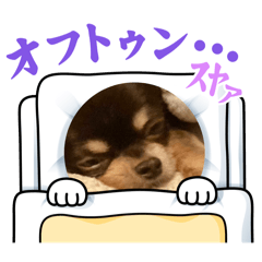 cherry_20250218205346