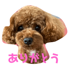 RAM chan_20250218204735