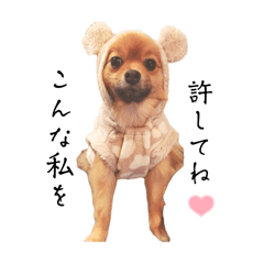 kono_20250218190753