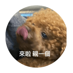 王妮妮的貼圖喔