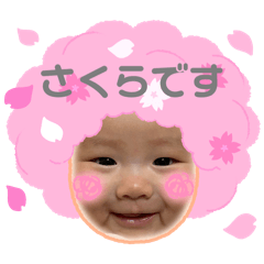 misa_20250218201200