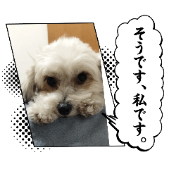 nonchan_20250218214459