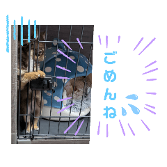 nyannmama_20250218212533