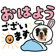 kj_20250218221152