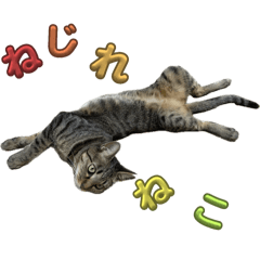 UMA_20250218220948