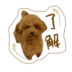 Ayaka_20250218230405