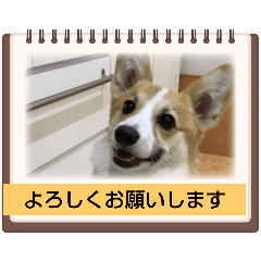 mm_20250219003408