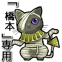 Mummycat Name Animation for Hashimoto