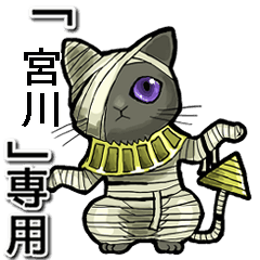 Mummycat Name Animation Miyakawa