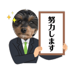 Honoka_20250219122014