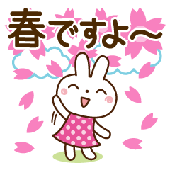 Springtime of rabbit