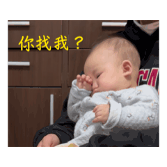 翔翔碩碩