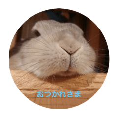 imo_20250219010016
