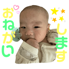 ym_20250219023555