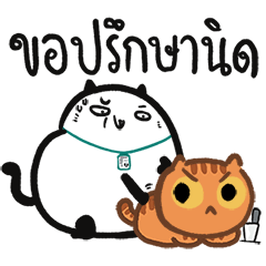 ปลาฉ้มฝึกงาน