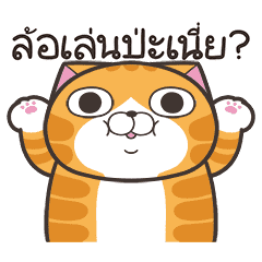 เหมียวซ่า : ยิ้มหน่อย
