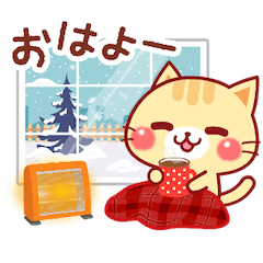 動く♪冬のにゃーにゃー団