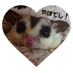 kocchi_20250219015721