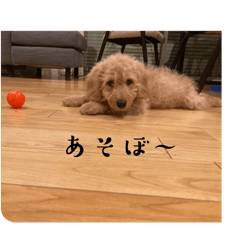 HANA_20250219061414
