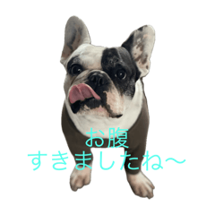 Linda_20250219110120