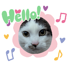 natsu_20250219111719