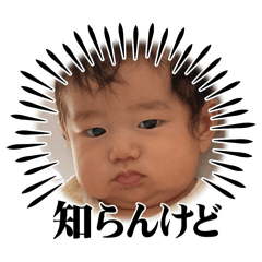 miki_20250219121812