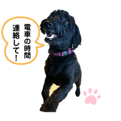 Kamisaki_20250219141306