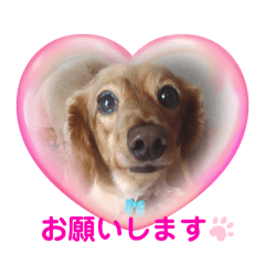 choco_20250219134656