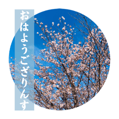 akiko_20250219085551