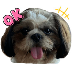Dogdagg