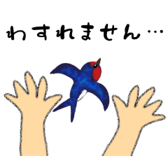 kazue_20250219103859
