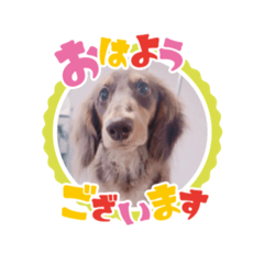 sakura_20250219142708