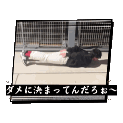kazu_20250219093654
