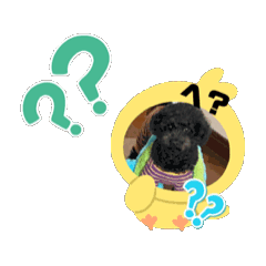 kira_20250219170423