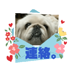 reiko_20250219194518