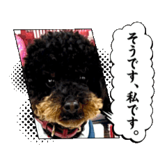 komugi_20250219215839