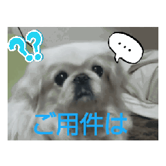 reiko_20250220104909
