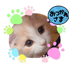 chisa_20250219154134