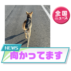 Kyoko_20250219173836
