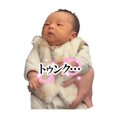 aru_20250219173304