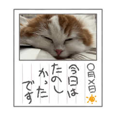 SATOUMARON